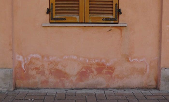 Les dégats sur un mur humide